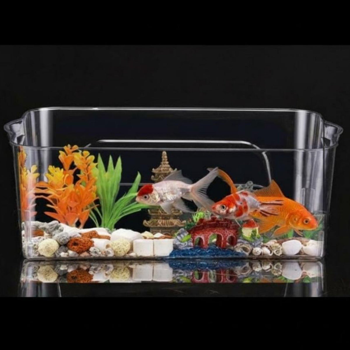 Transparent Desktop Aquatic Habitat with Lid for Small Pets