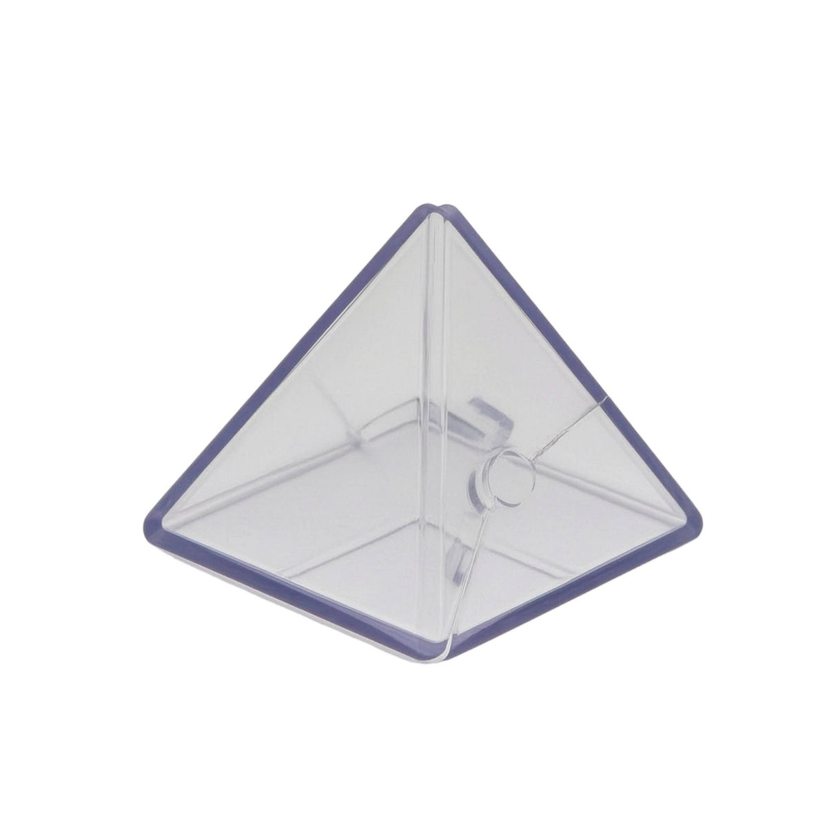 Fruit Mold with Transparent Panels Fun Mold with Clips Clip-Fastened