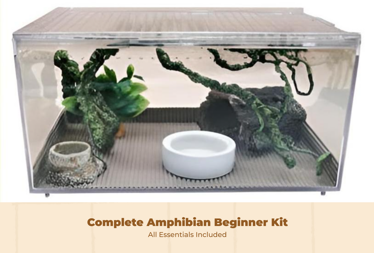 Gecko mini terrarium enclosure