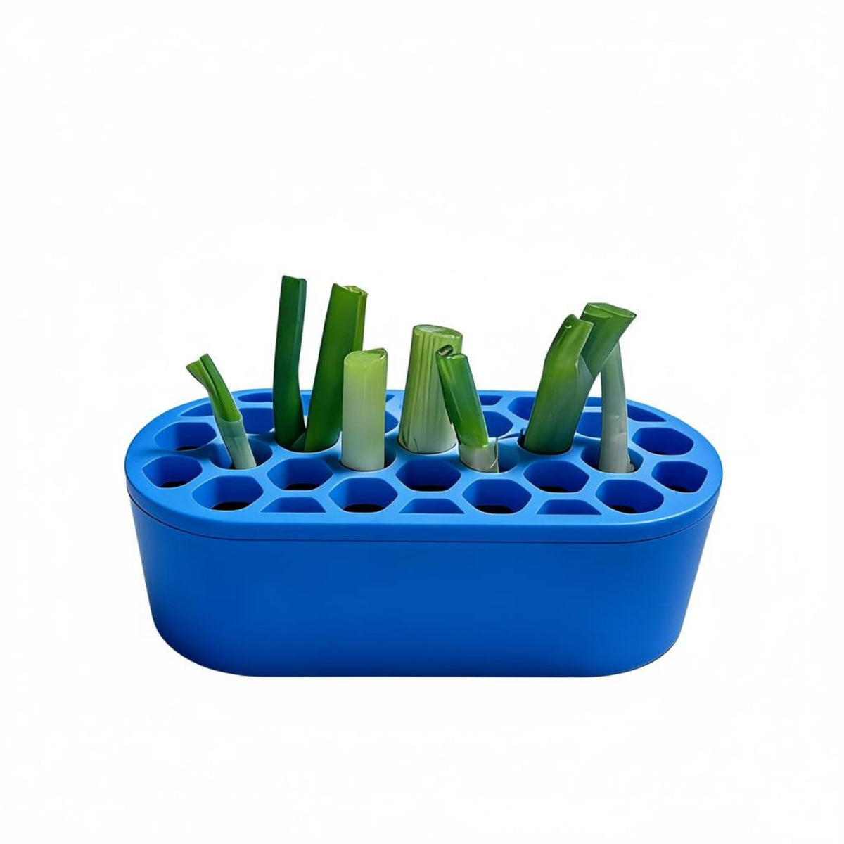 Green Onion Regrower Regrow Herbs Kitchen Gadget Easy to Use for Windowsill