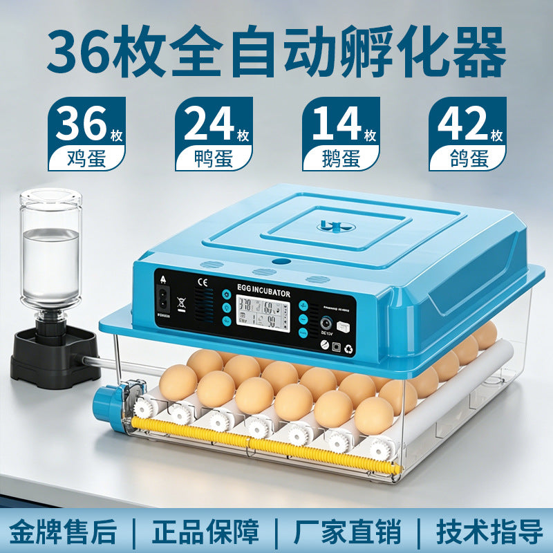 64 Eggs / Dual Power