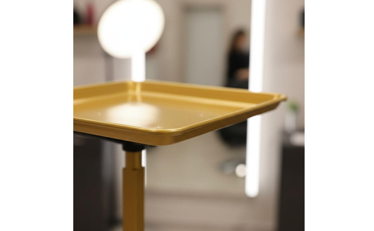 Salon Chair Service Tray Large Capacity Adjustable Chair Side Tray 360° Rotation for Hairstylists