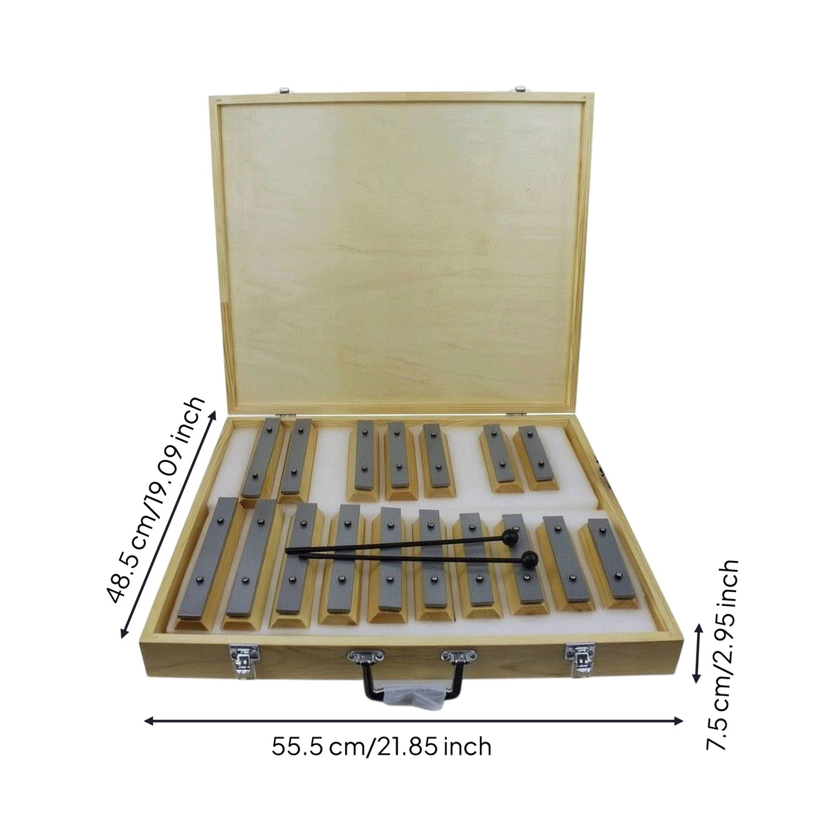 Glockenspiel with Carrying Case Tuned Glockenspiel Bright Xylophone with Carry Case for Beginners, Classroom