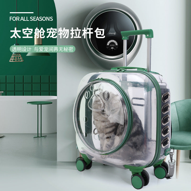 Transparent Pet Carrier Backpack