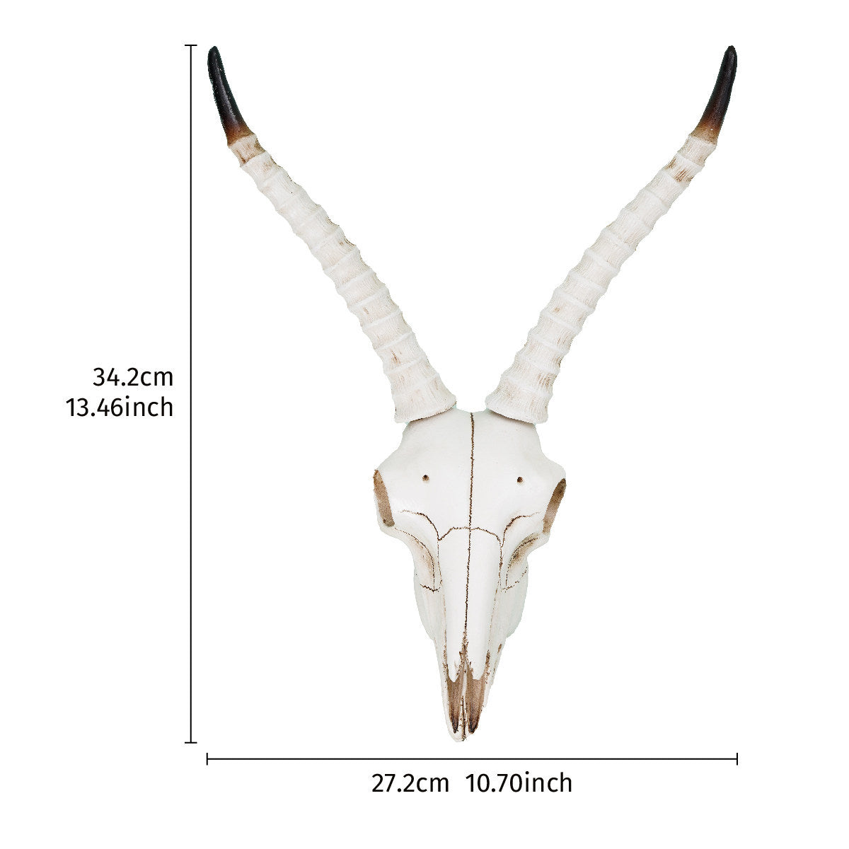 Mountain Goat