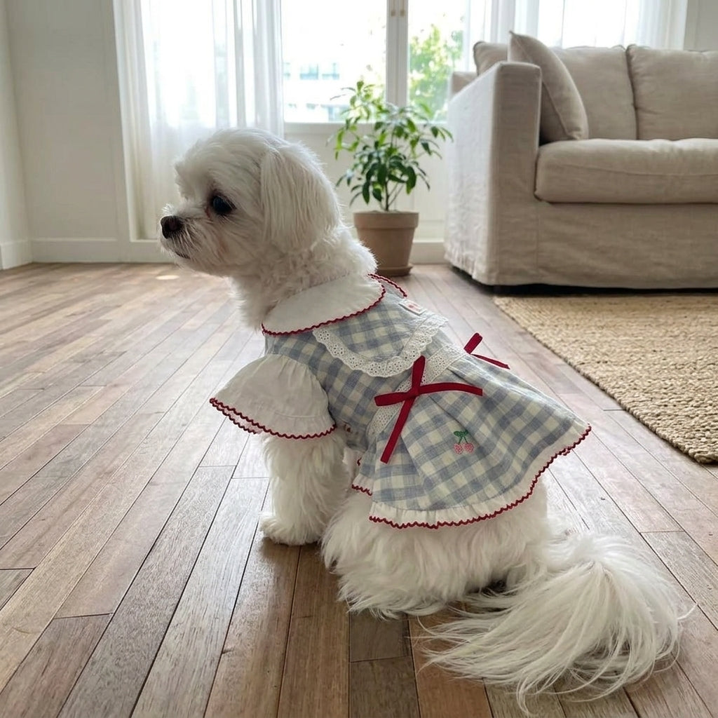 Cute Dog Dress and Cat Dress with Lace Skirt - White Plaid and Lace Skirt - Blue Plaid, Gingham Small Dog Clothes in Dopamine Style for Parties