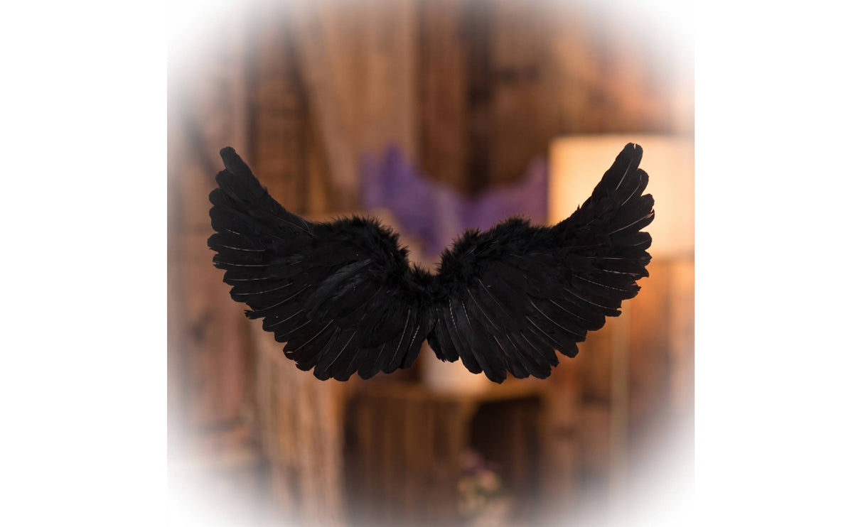 Angel Wings Feathered Feather Wings Wing Accessory Black Lightweight for Halloween, Cosplay