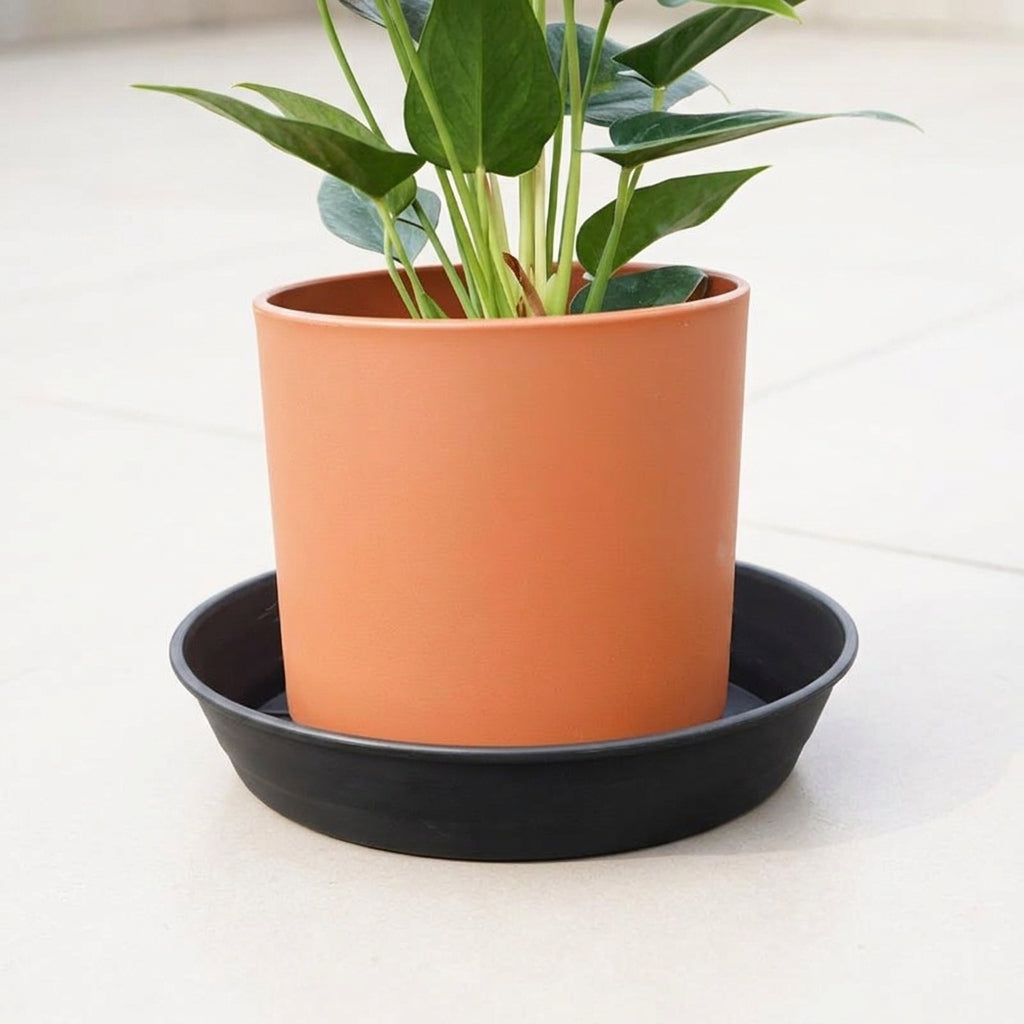 Plant Saucers with Drainage Grooves, Heavy Duty PE Material Trays, Nestable Drip Tray and Pot Saucer for Outdoor Garden Plants, Floor Standing