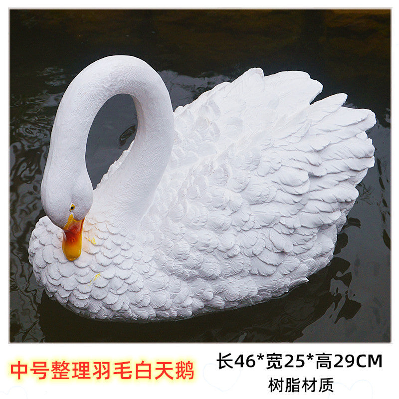 M / White Groom Feathers