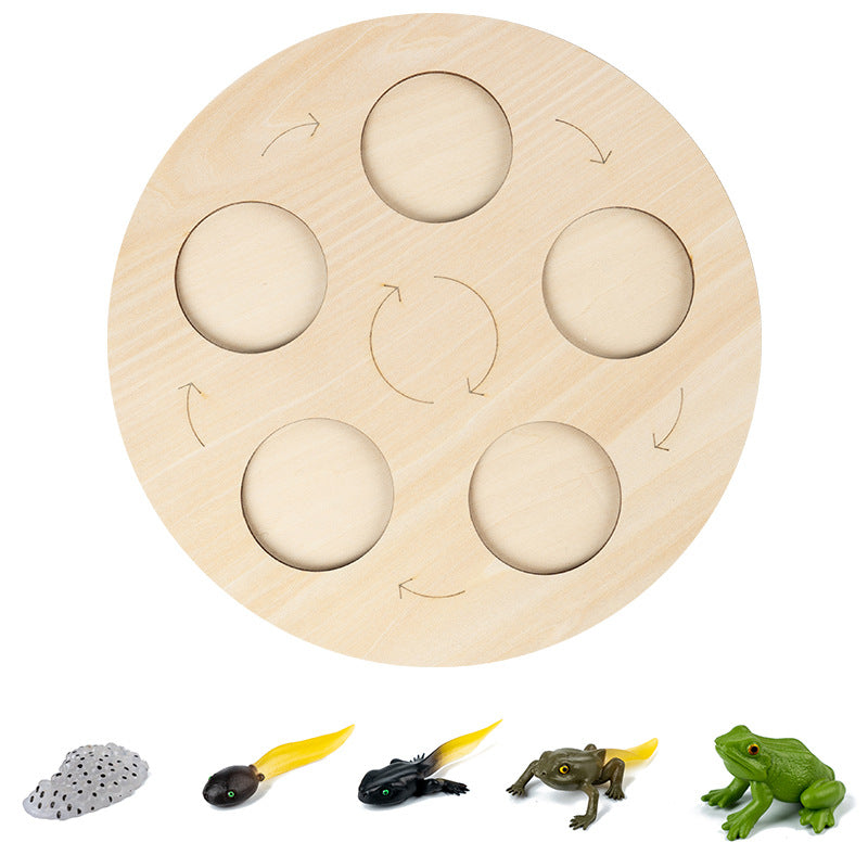 5-grid Frog