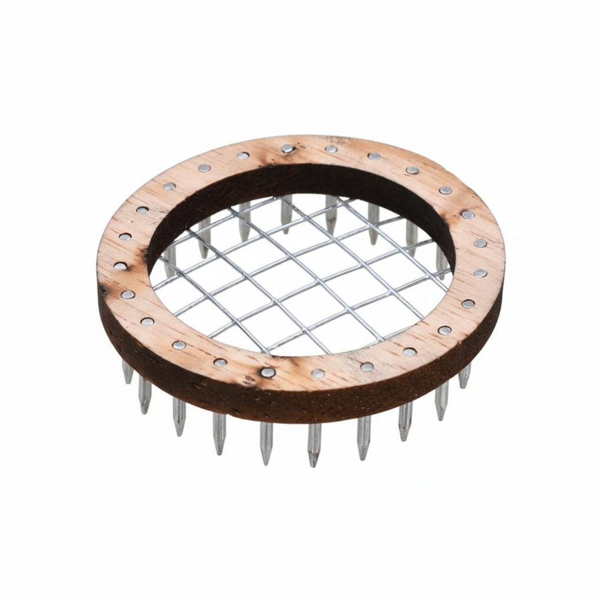 Push-Pin Design Queen Enclosure Lightweight Queen Bee Pin Enclosure Easy to Use Stainless Steel for Beekeepers