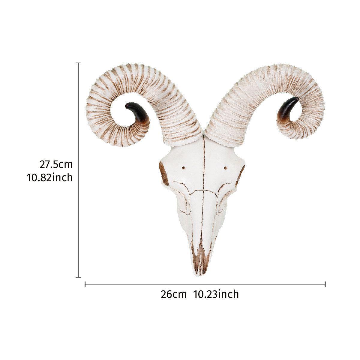 Ram Horn