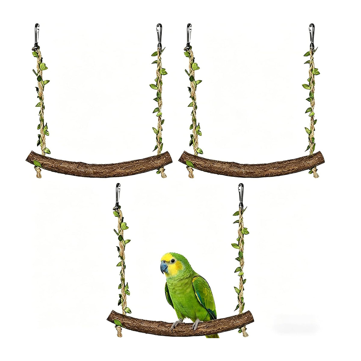 3-pk Parrot Swing W