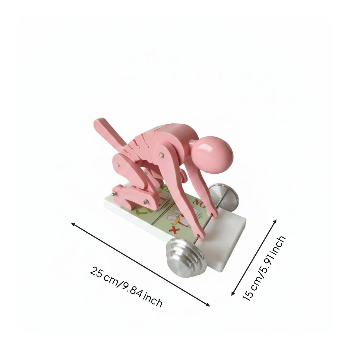 Lifting Posture Model Easy to Understand Spinal Load Model Articulated Joints Teaching Aid for Trainers, Gym, Classroom