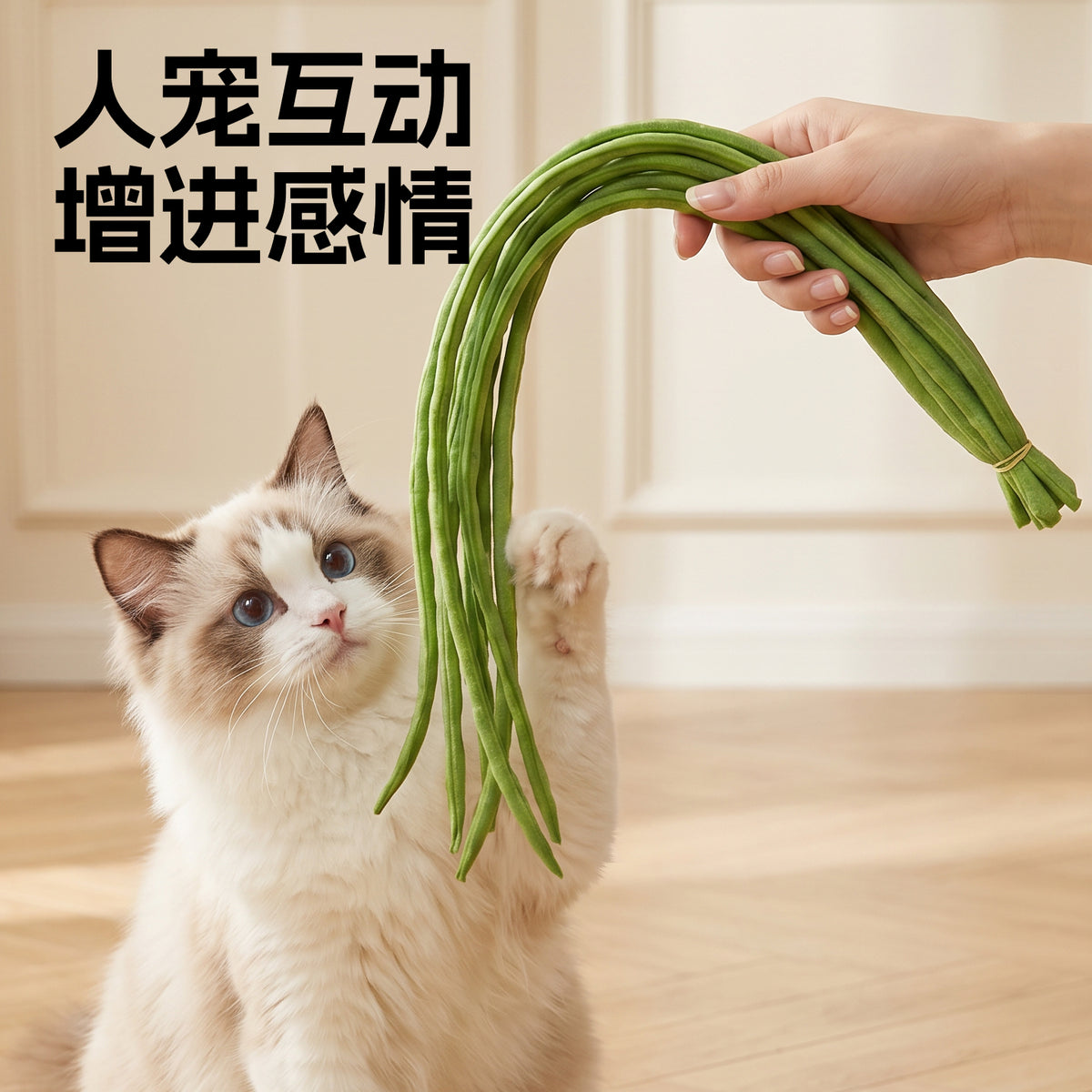 TPR Cat Teaser Toy for Interactive Play