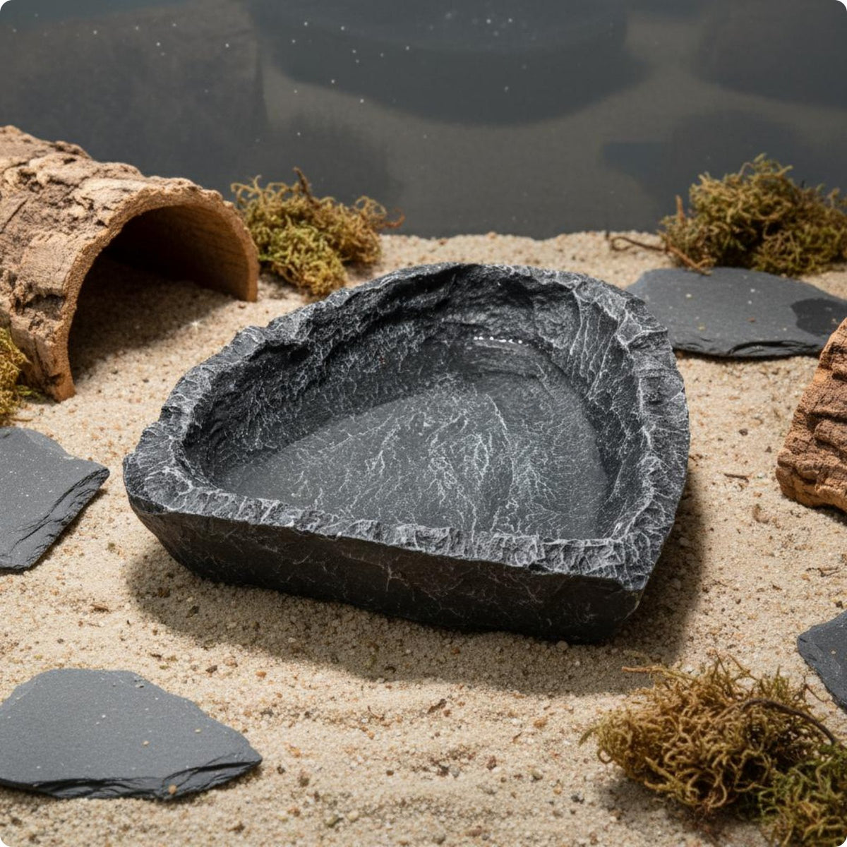 2 Pieces Rock Look Terrarium Pet Bowl Multi Use Pet Supply Low-Low-Rise Design