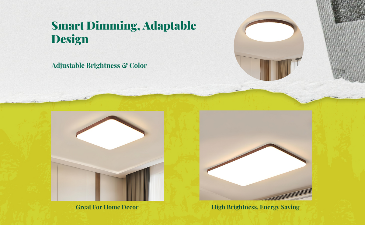 Dimmable LED ceiling light for living room