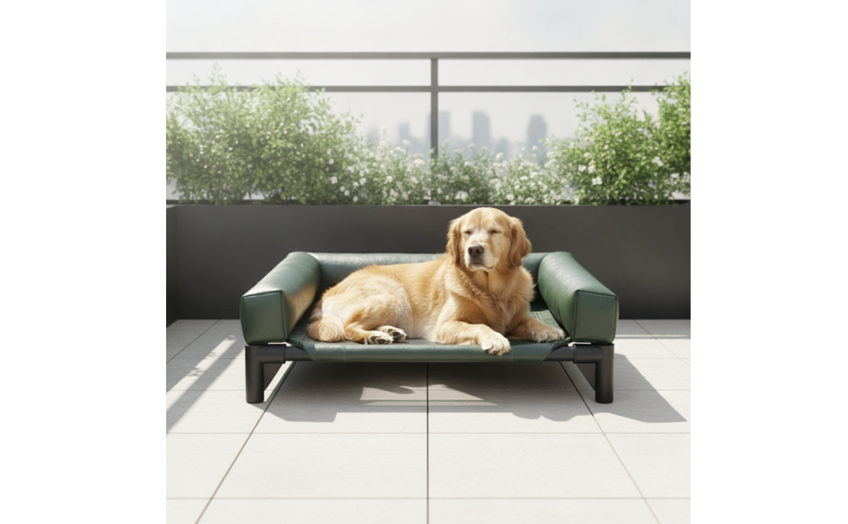 Heightened Dog Bed with Bolster Bolstered Dog Bed with Bolster Supportive Elevated Pet Cot for Dogs, Pets, Indoor