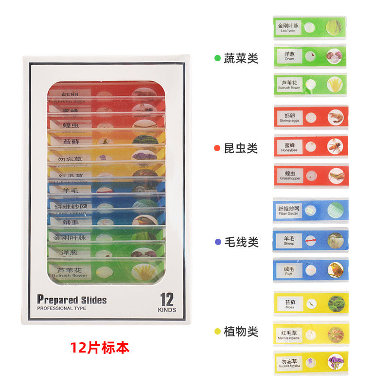 12-pc Animal and
