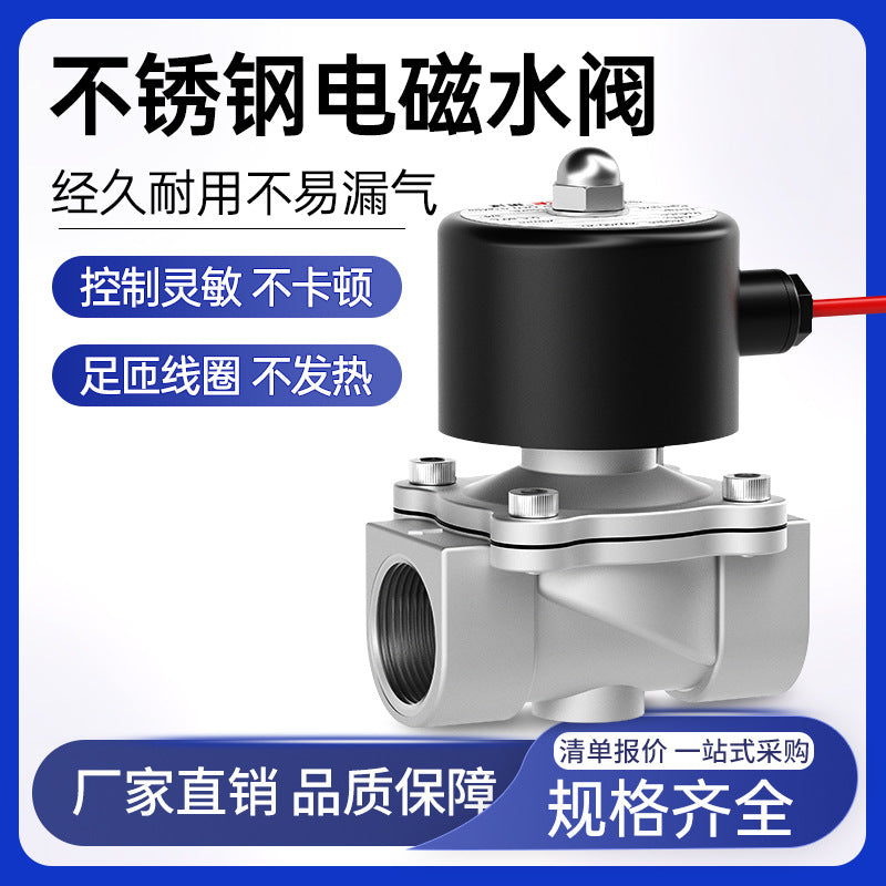 304 Stainless Steel Solenoid Water Valve