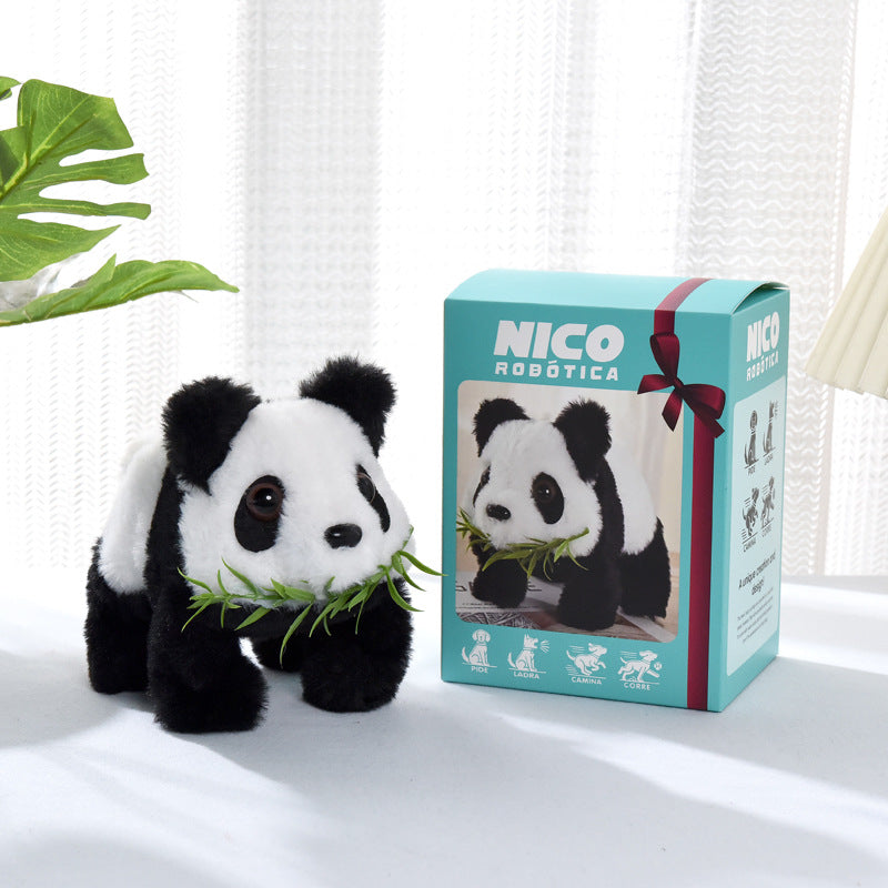 Color Box Panda