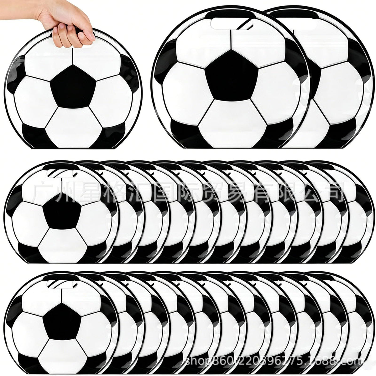 10PCS