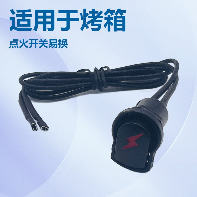 Ignition Switch