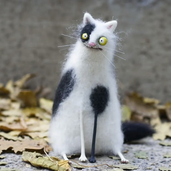 Weird Cat