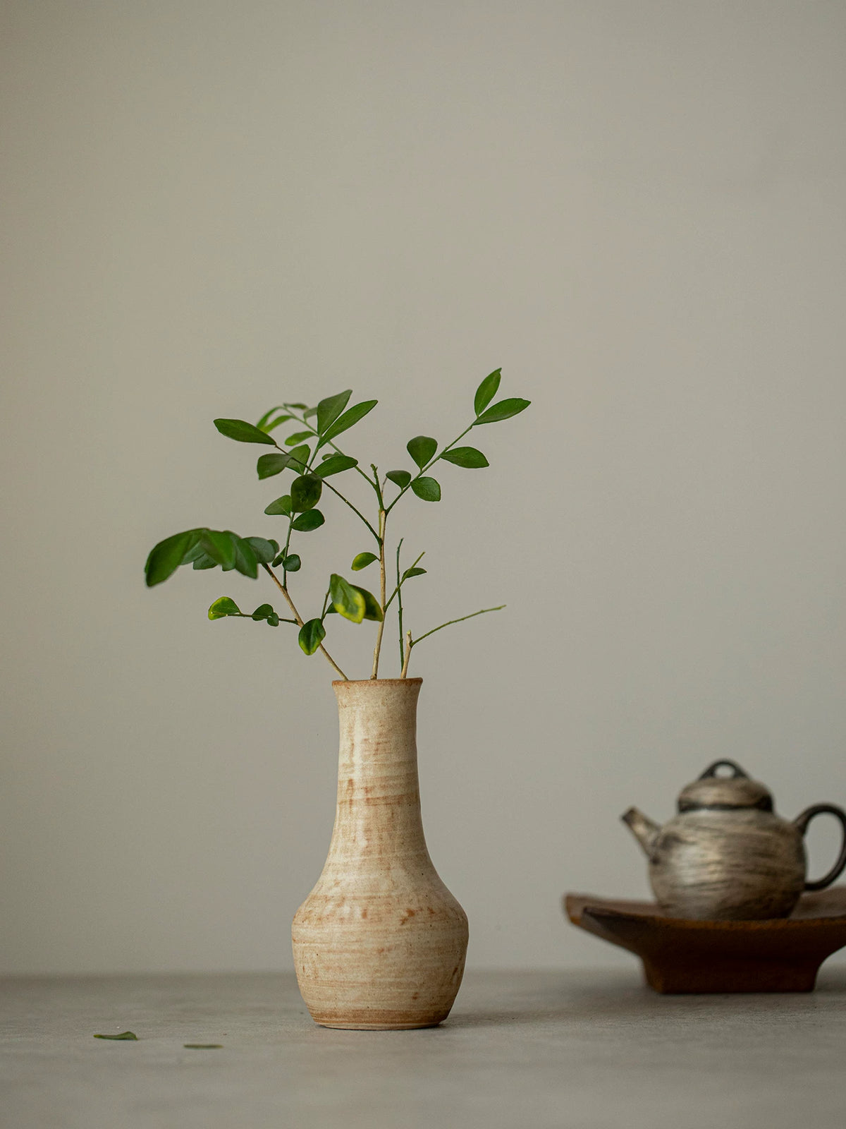 Wabi-Sabi Ceramic Hydroponic Vase for Dried Flowers and Home Decor