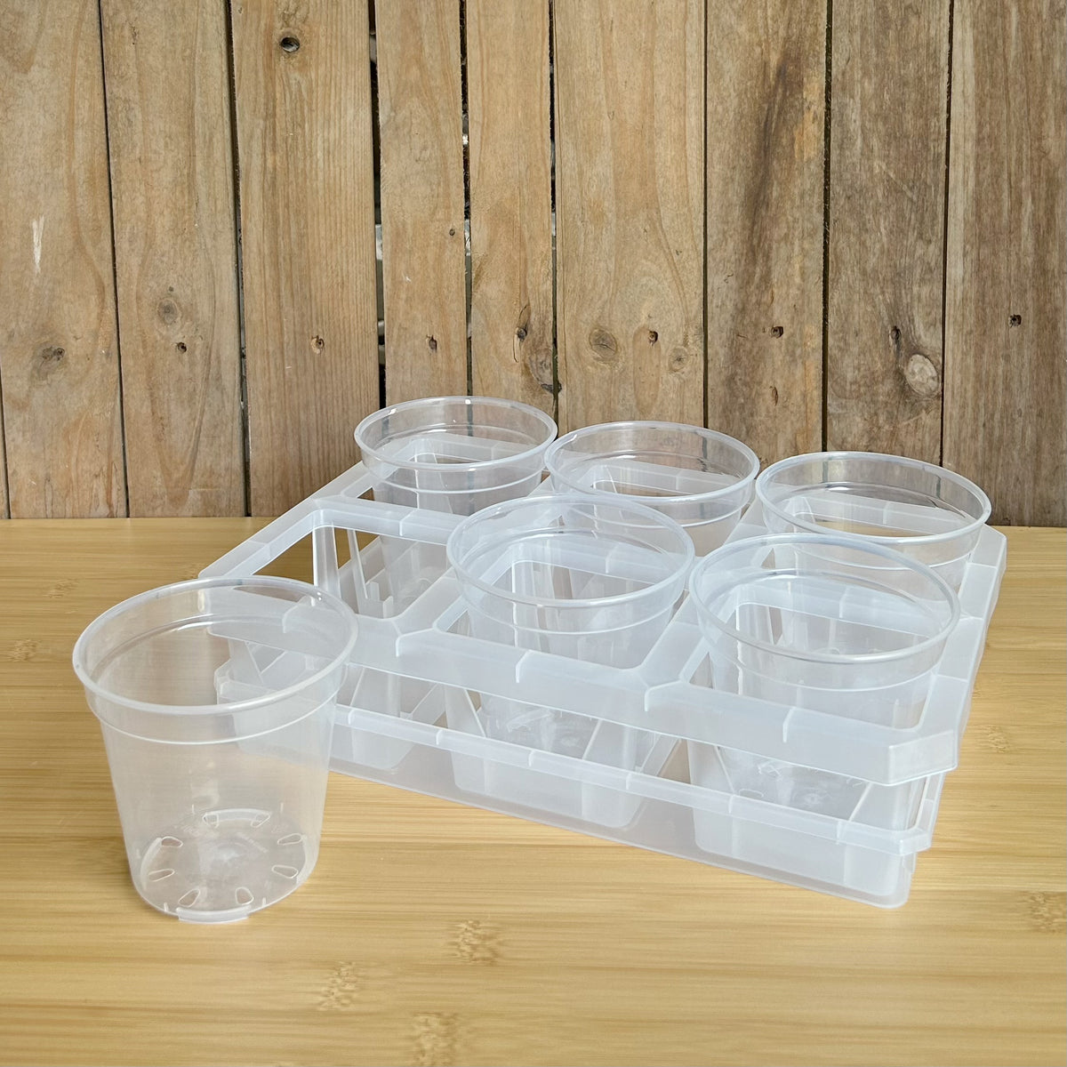 3-inch 6-Cell Clear Plastic Round Orchid Pot with Tray for Seedling Propagation