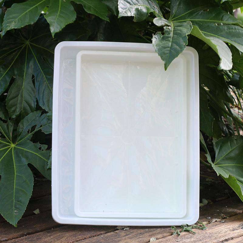 Rectangular Solid Succulent Planter Tray for Seedling Propagation and Observation