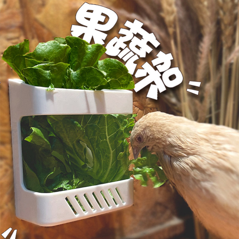 Quail Chicken Fruit Vegetable Feeder Rack for Cages