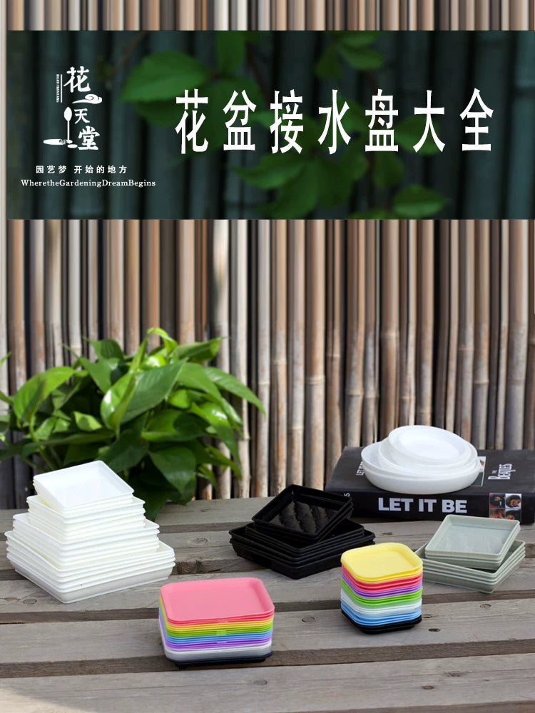 Plastic Plant Pot Saucer for Succulents and Green Plants, Square/Round, Multi-color, Various Sizes