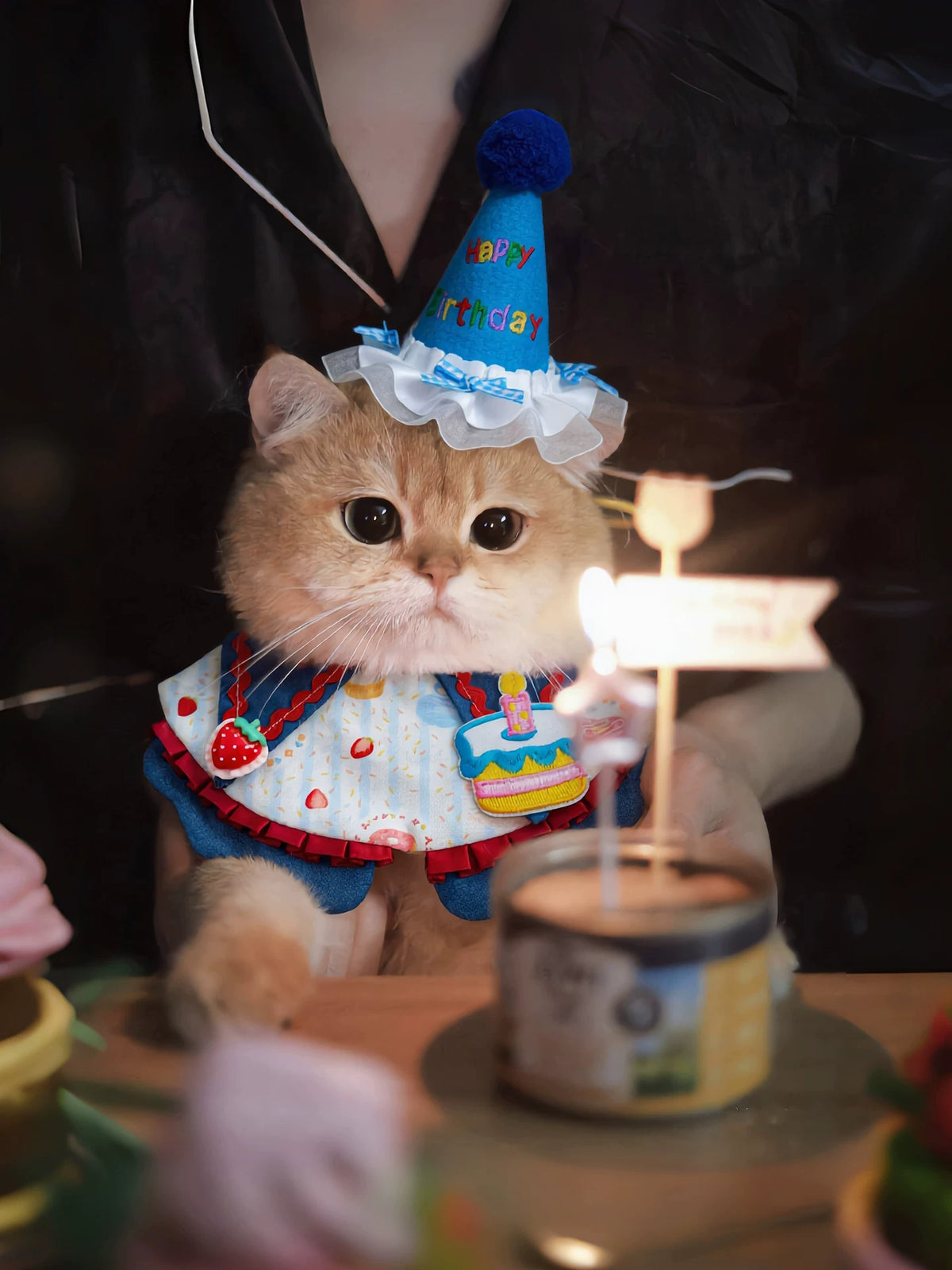 Pet Birthday Bandana Hat Set for Cats and Small Dogs, Adjustable Cake Bib Scarf and Party Hat Photo Props
