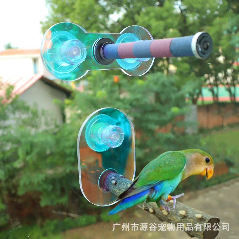 Parrot Perch with Suction Cup, Acrylic Gradient Stand for Birds, Grinding Claw Toy