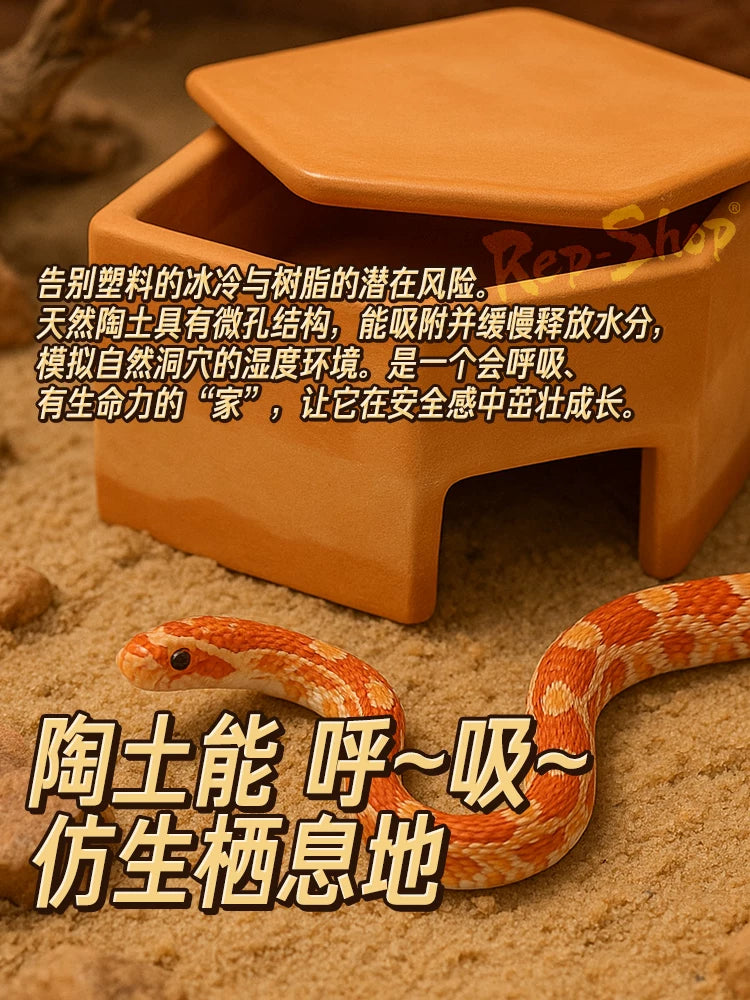 Reptile Ceramic Humidifying Hideaway Cave for Lizards, Snakes, and Spiders