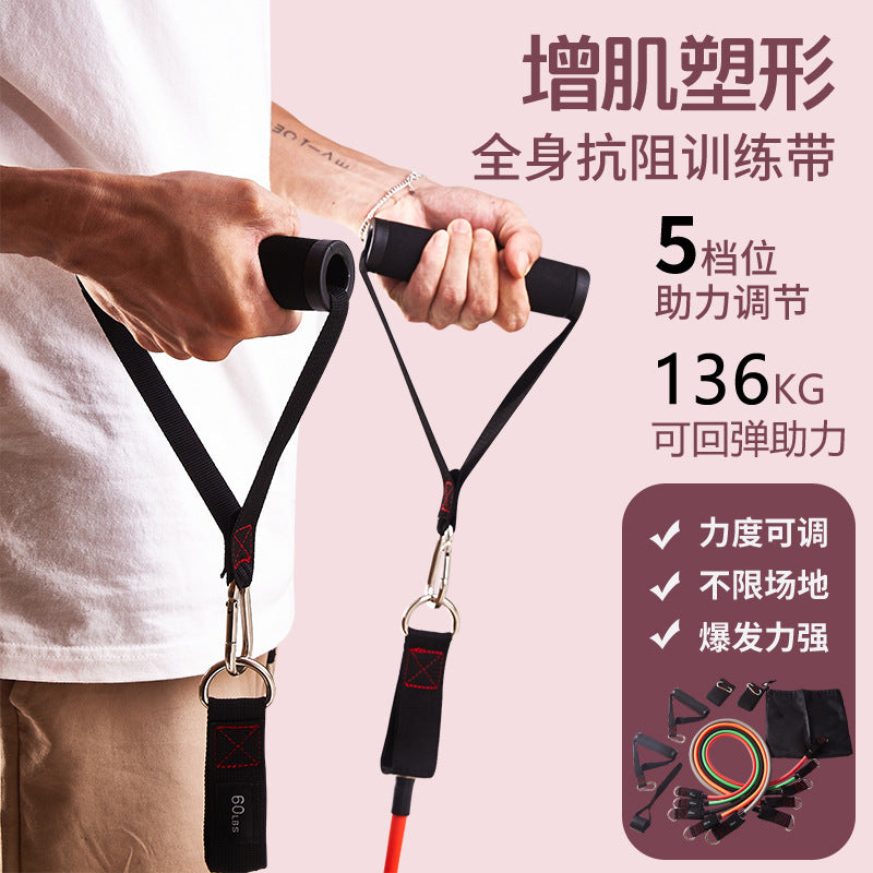 Resistance Band Set for Chest and Arm Training, Home Workout Elastic Pull Rope