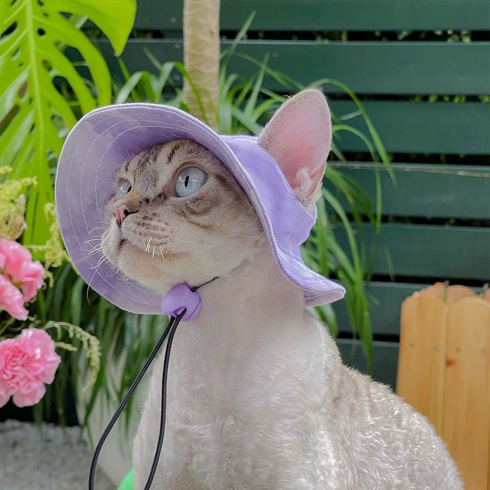 Cute Cat Dog Sun Hat with Ear Holes, Pet Summer Fisherman Cap for Photoshoot