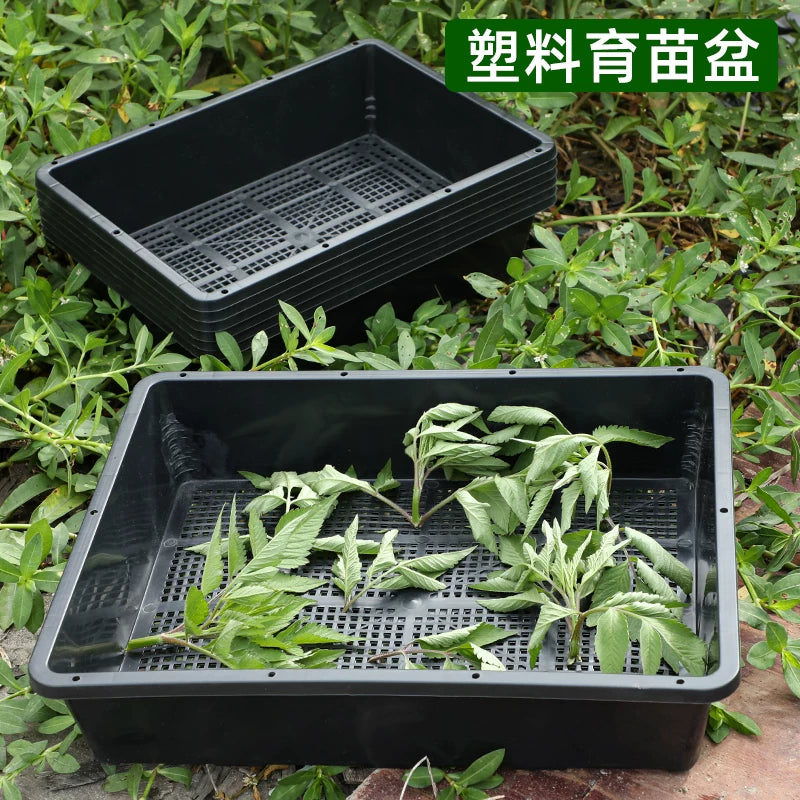 Thickened Rectangular Plastic Seedling Tray for Succulents and Rice Sprouts, Storage and Cultivation Box