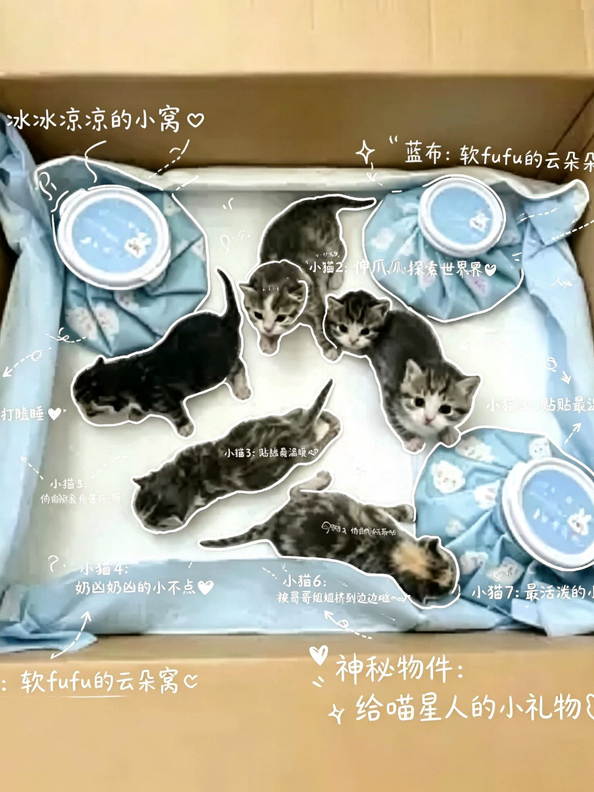 Reusable Pet Cooling Ice Pack Mat for Cats and Small Dogs, Outdoor Summer Heat Relief Pad