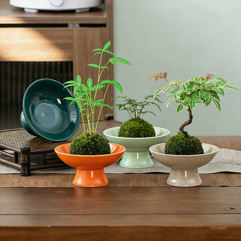 Ceramic Moss Ball Planter with Tray - Desktop Hydroponic Bonsai Vessel