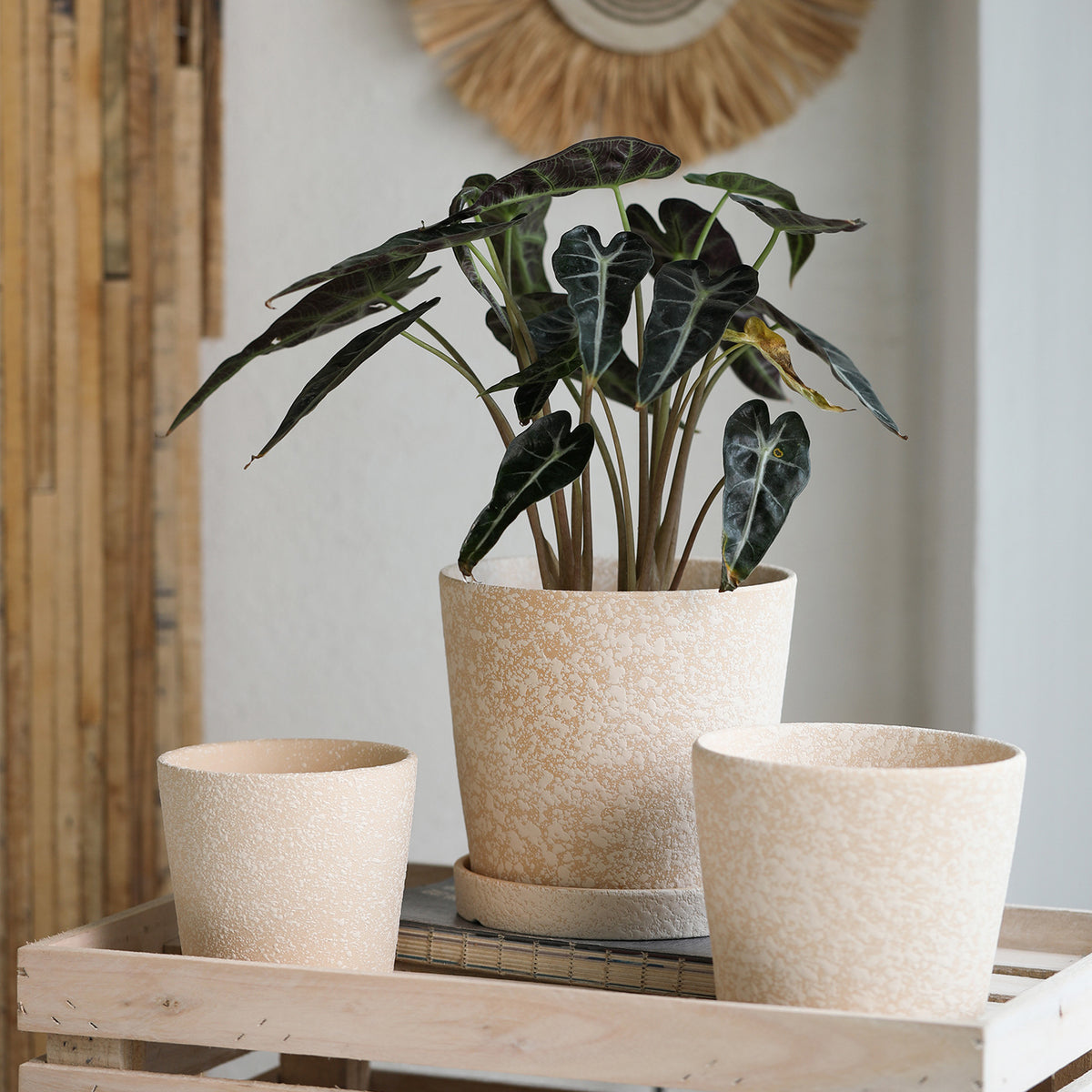 Unglazed Terracotta Slanted Round Planter Pot for Plants and Flowers