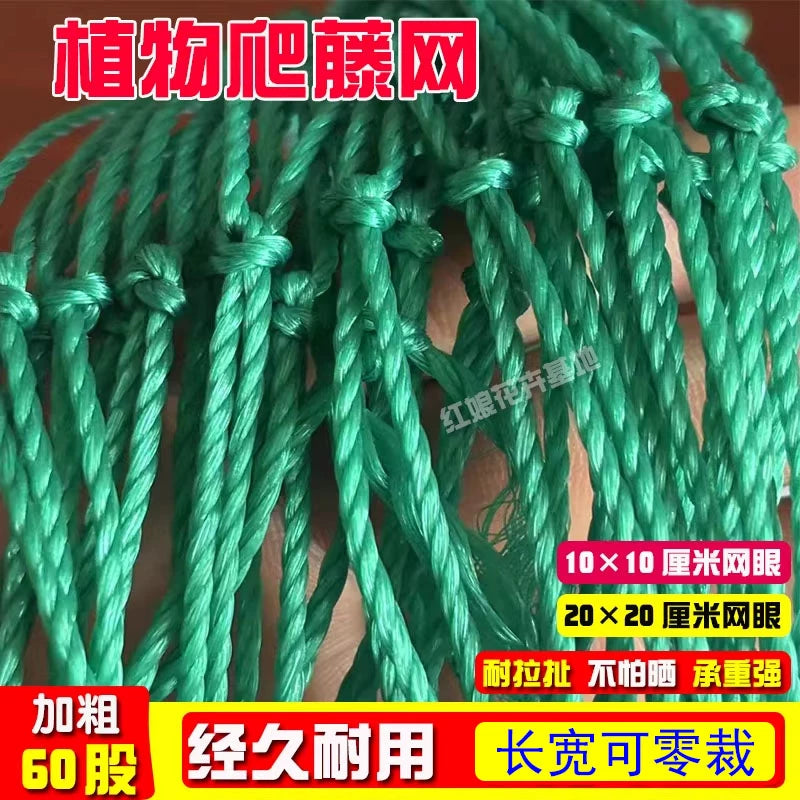 Plant Trellis Netting for Climbing Vegetables and Fruits
