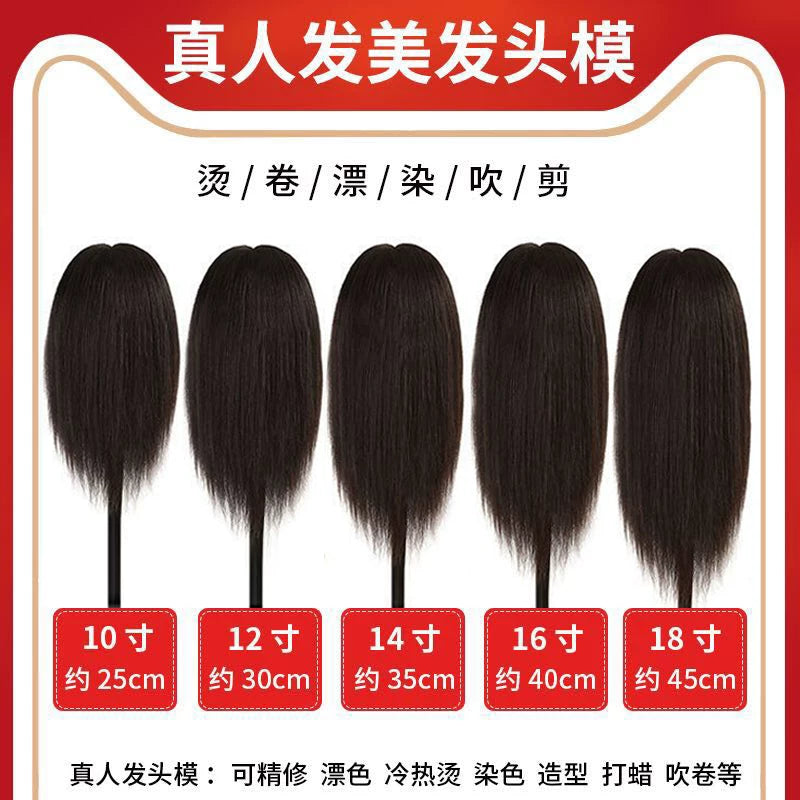 Human Hair Mannequin Head for Hairdressing Training, Styling, Perming, and Dyeing