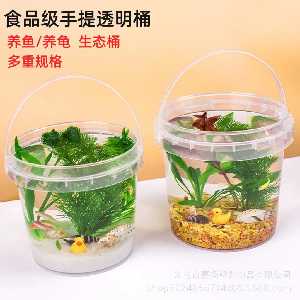 Thickened Clear Bucket with Lid and Handle for Fish, Turtle, and Outdoor Use