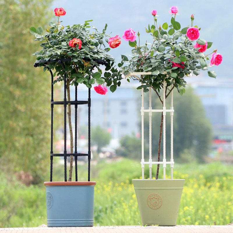 Garden Assembled Plant Support Trellis for Climbing Roses and Clematis, Umbrella Shape
