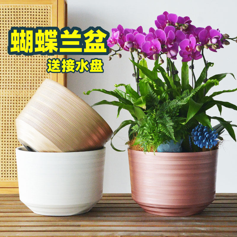 Orchid Pot with Tray, Thickened Plastic Planter for Phalaenopsis, 20cm Outer Diameter