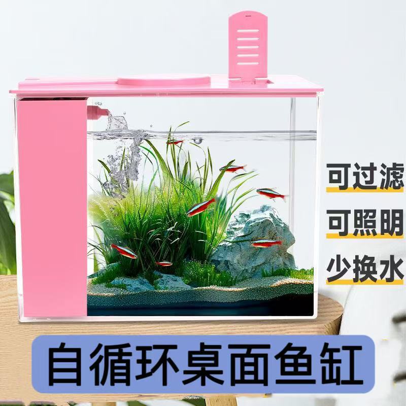 Desktop Aquarium with Integrated Filtration System for Home and Office