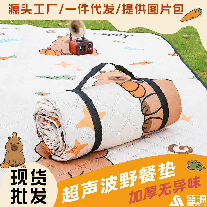 Extra Thick Aluminum Film Picnic Blanket, Waterproof Portable Outdoor Camping Mat