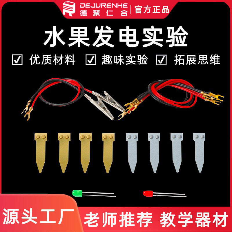 Fruit Battery Science Experiment Kit with Zinc and Copper Electrodes